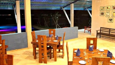Birdwing - wooden dining tables and chairs in restaurant interior with blue lighting