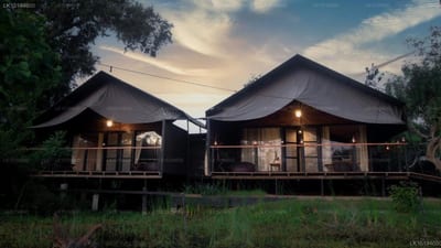 Leopard Trails - dark safari tents on stilts at dusk with golden sky