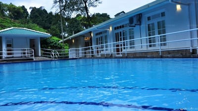 Forest Edge - Olympic-sized swimming pool with blue changing rooms and surrounding trees