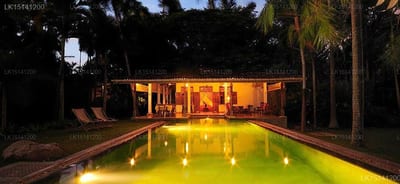 Java Moon - illuminated swimming pool lined with palm trees at night