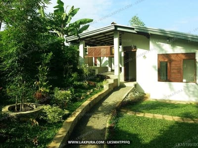 Sedevo Chalets, Kandy - rustic white bungalow with wooden doors surrounded by lush green vegetation
