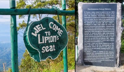 Ceylon Tea Bungalows - vintage sign and historical plaque at tea estate viewpoint