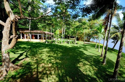 Java Moon - spacious green lawn with wooden pavilion and palm trees by waterfront