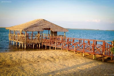 Divyaa Lagoon - wooden jetty leading to thatched-roof beach bungalow in calm lagoon