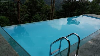 Emerald Hill Hotel - swimming pool with ladder and forested hillside beyond