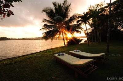 Java Moon - two boats on grass overlooking river at sunset with palm trees