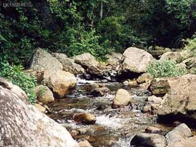 Corbets View - stream flowing between large boulders and forest vegetation