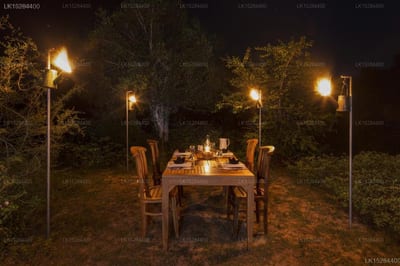 Leopard Nest - outdoor dining table set under trees at night with lantern lighting