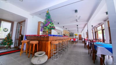 Rockside Beach Resort - spacious dining hall with wooden bar counter and decorated Christmas tree