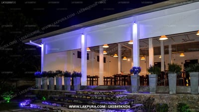 Calluna Hotel - modern hotel entrance with blue-lit pillars at night
