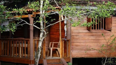 Calm Rest - wooden cabin exterior with deck and climbing vines