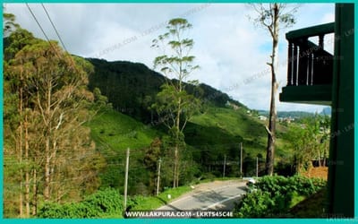 Tinithi Villa - green hillside valley with winding road and wooden structure
