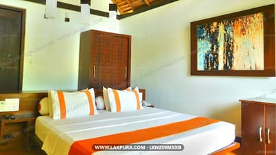 Blue Whale Resort - bedroom with white walls, orange and white bedding, wooden furniture