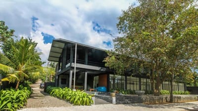 Java Moon - modern black wooden lodge surrounded by tropical plants and trees