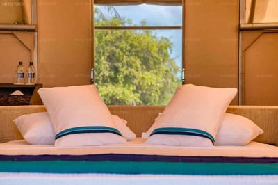 Kodev - pink pillows on bed with mountain and forest view through window