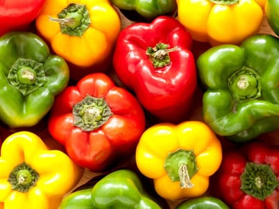 Capsicum