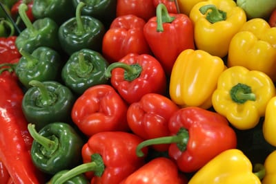 Capsicum