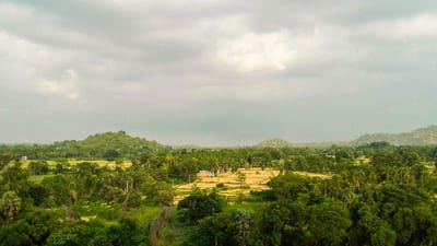 Minneriya Lake