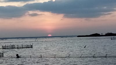 Kurikadduwan Jetty