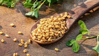 Fenugreek (Methi) Seeds