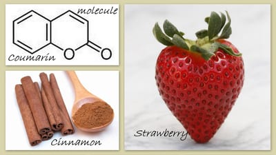 FAQ on coumarin in cinnamon and other foods