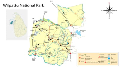 Prywatne Safari w Parku Narodowym Wilpattu