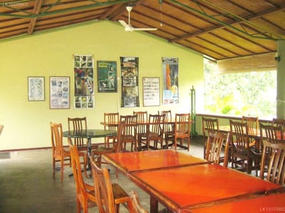 The Blue Magpie Lodge