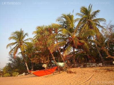 Patini Bungalows