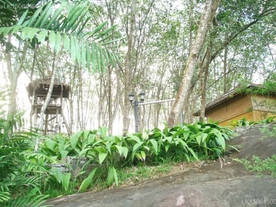 Rock Chalet