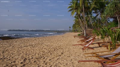 Patini Bungalows