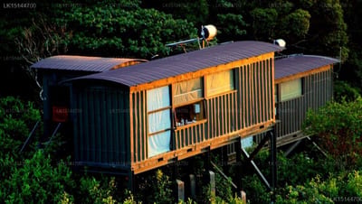 Rainforest Ecolodge