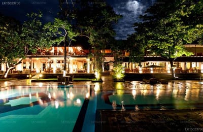 Cinnamon Lodge