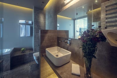 Pledge Scape - modern bathroom with vessel sink, glass shower, and purple flowers