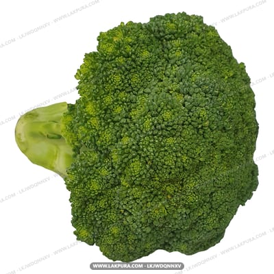 Lakpura® Broccoli - single head with pale green stem, top view on white background