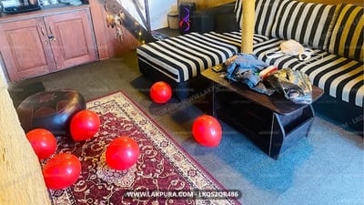 Willmount Cabins - red balloons scattered across cabin floor near sofa