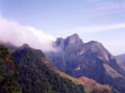 Corbets View - misty mountain peaks with forested slopes and low clouds