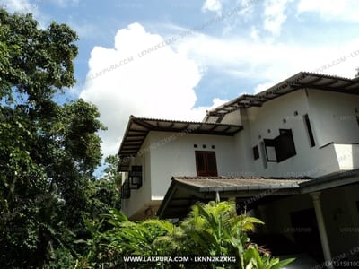 Amolwasa - white villa with tropical garden and blue sky