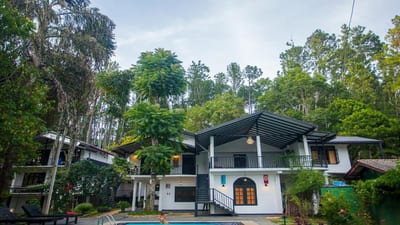 Forest Paradise - modern house with pool surrounded by lush tropical trees